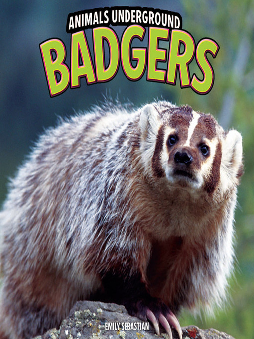 Title details for Badgers by Emily Sebastian - Available